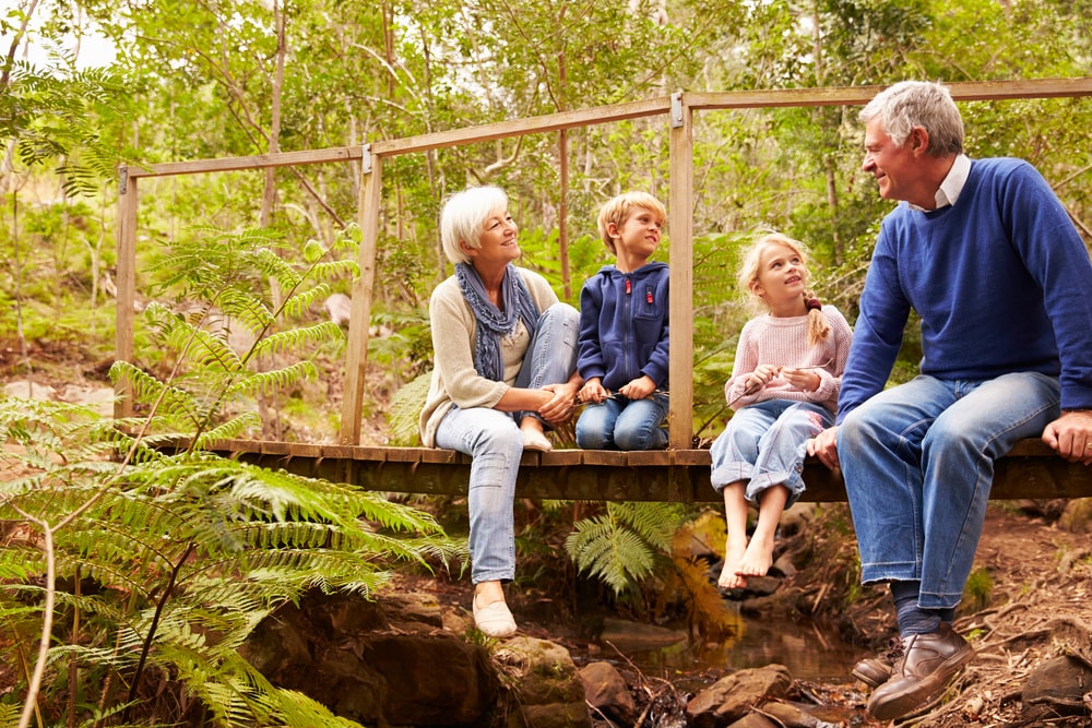 Who-Decides-Whether-Grandparents-Can-Have-Contact-with-the-Children Who Decides Whether Grandparents Can Have Contact with the Children